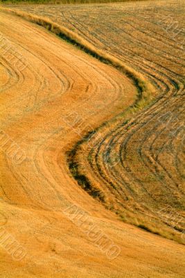 landscape landscape