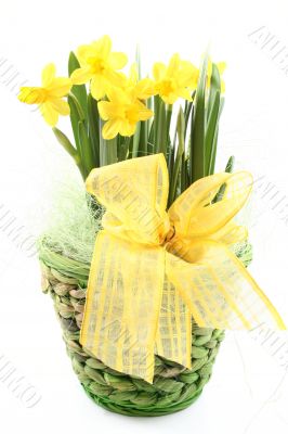 spring decoration spring decoration