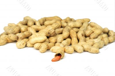 Peanuts