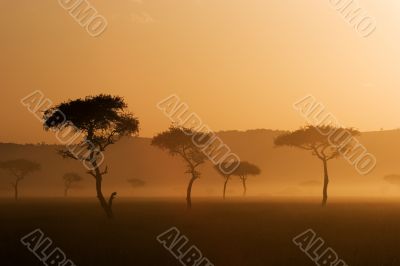 Sunset in Massai Mara