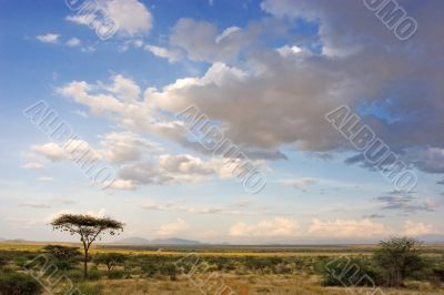 African Landscape
