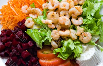 Shrimp Salad