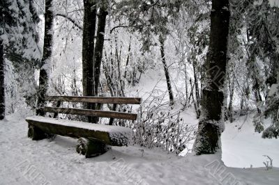 Bench in Snow