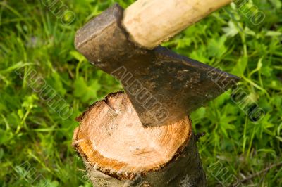 Axe thrust in a log