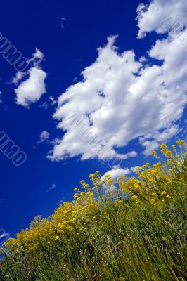 beautiful landscape beautiful landscape