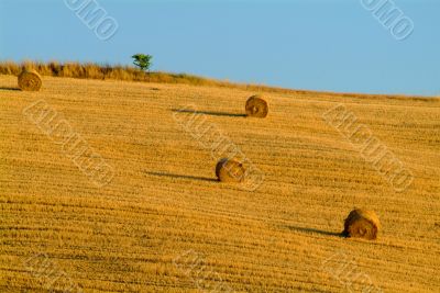 straw bale