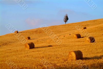 straw bale