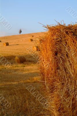 straw bale