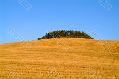 tuscany tuscany