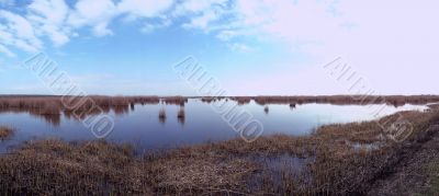 lake scape