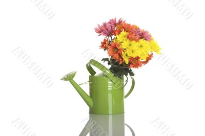 Green watering can with flowers