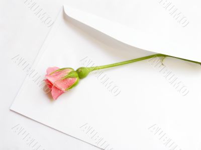 Envelope with a rose
