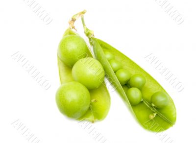 Pod of  a green peas and fruits plums