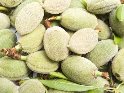 almonds nuts almonds nuts