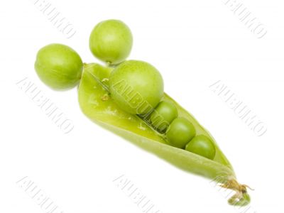 Pod of  a green peas and fruits plums