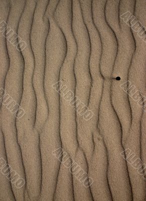Sand ripples