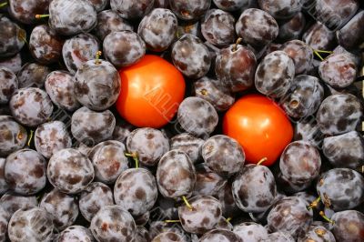the tomatoes in plums