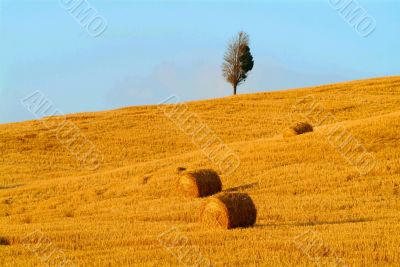 straw bale