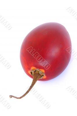 exotic tamarillo isolated