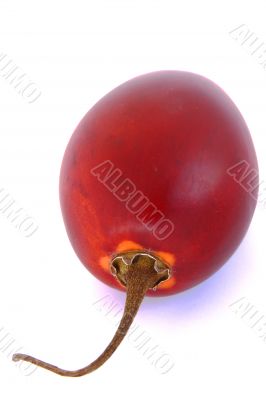 exotic tamarillo