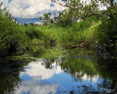 Sumer water landscape