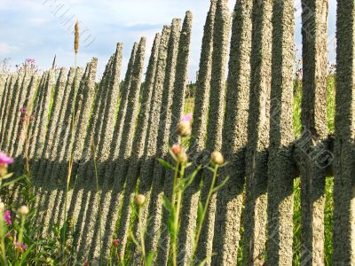 Old lopsided fence cover with lichen