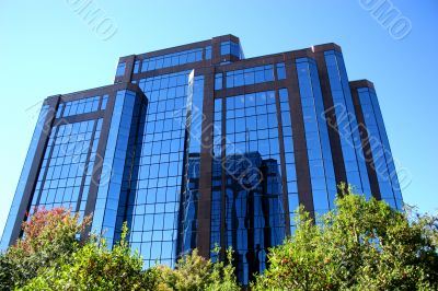 Brick and Glass Relection