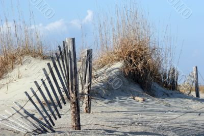 Fence and Dunes
