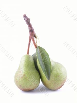 two green pears