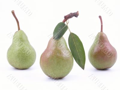 three green pears