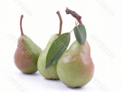 three green pears