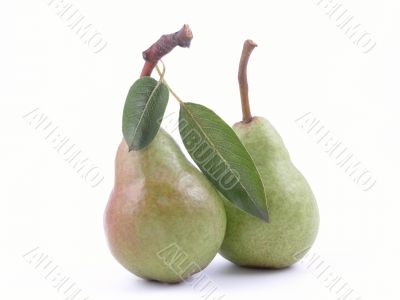 two green pears