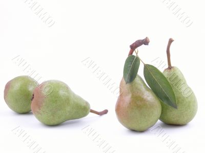 four green pears