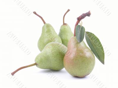 four green pears