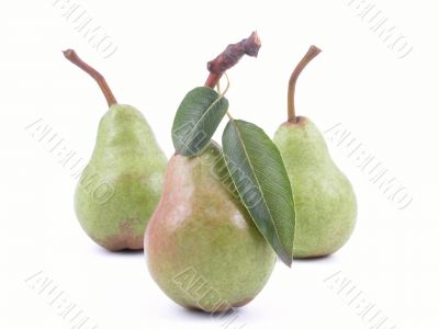 three green pears