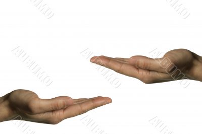 Two hands (left hand)