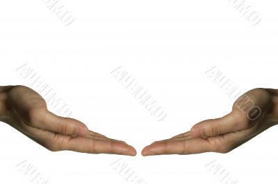 Two hands touching (left hand)
