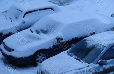 Snowed cars after night snowfall