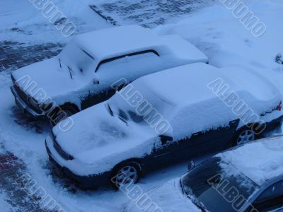 Snowed cars after night snowfall