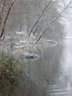 First season snowfall on riverside water