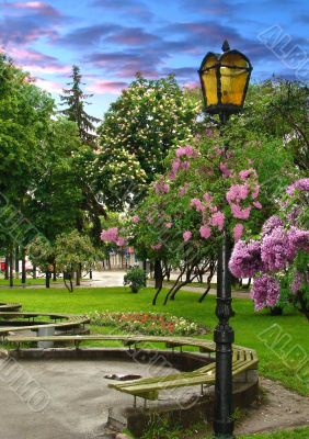 Park lantern under flowers