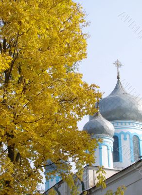 Cathedral`s Cupola behind Yellow Maple