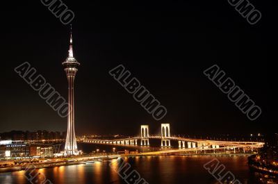 Macau night
