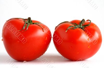 Two fresh tomatoes