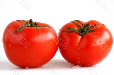 Two fresh and juicy tomatoes