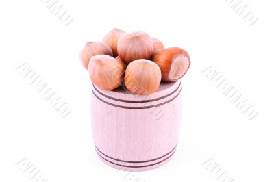 hazelnuts hazelnuts