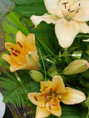 Sandy-white lilly bouquet