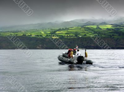 Boat observing dolphins