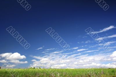 Green field landscape