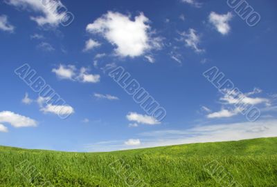 Green field landscape